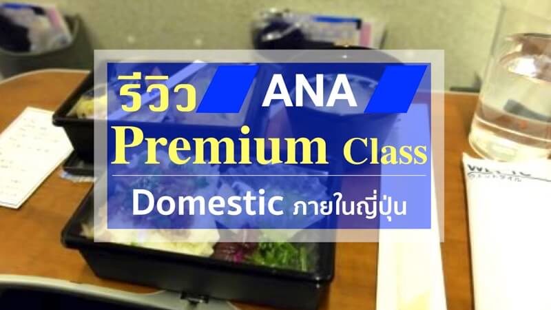 ana domestic