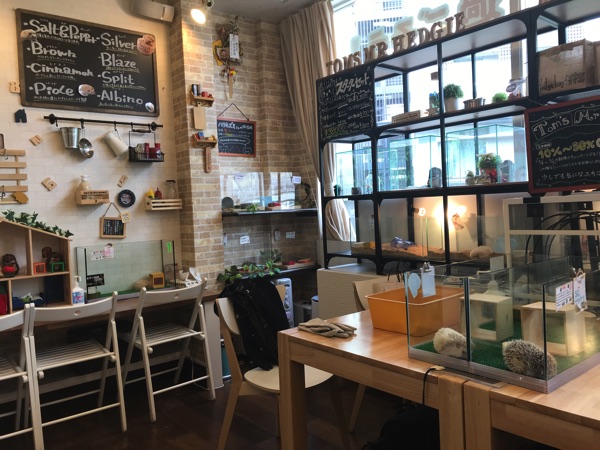 ร้านคาเฟ่สัตว์ในเกียวโต แนะนำ