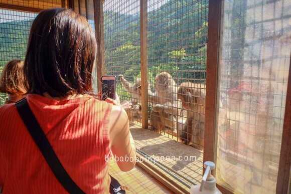 Monkey Park Kyoto