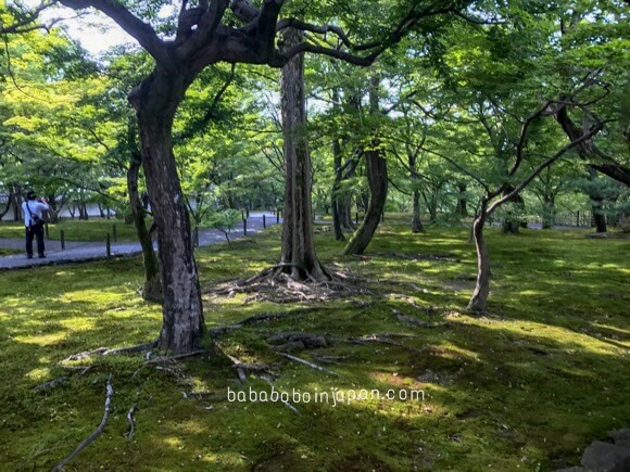 Tofukuji temple