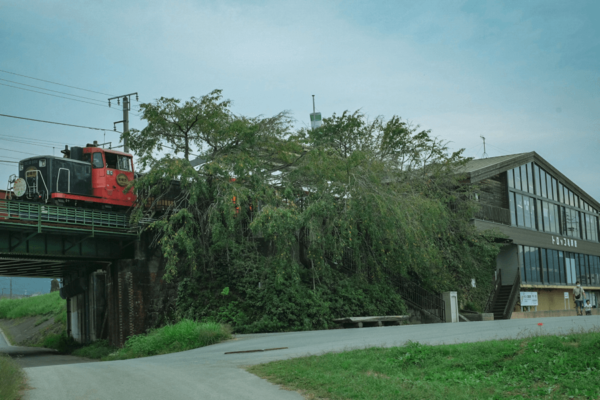 แนะนำสถานที่ท่องเที่ยวญี่ปุ่น