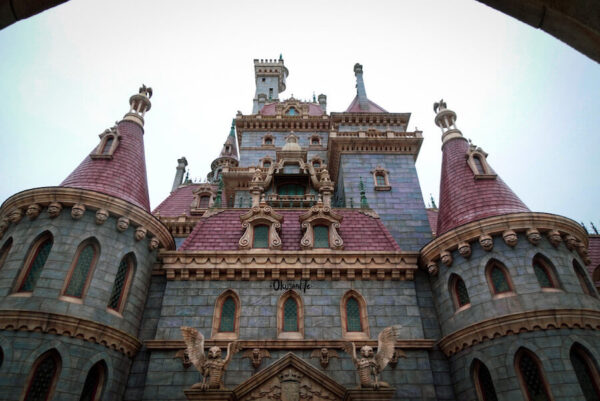Enchanted beauty and the beast